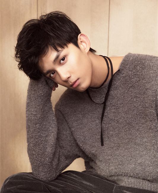 少年感刘昊然吴磊许光汉,刘昊然王俊凯吴磊范丞丞