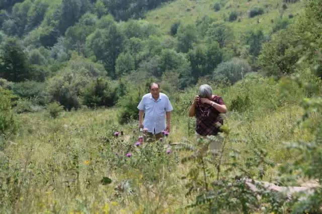 山西历山舜王坪大草原攻略,看云海高山草甸的地方