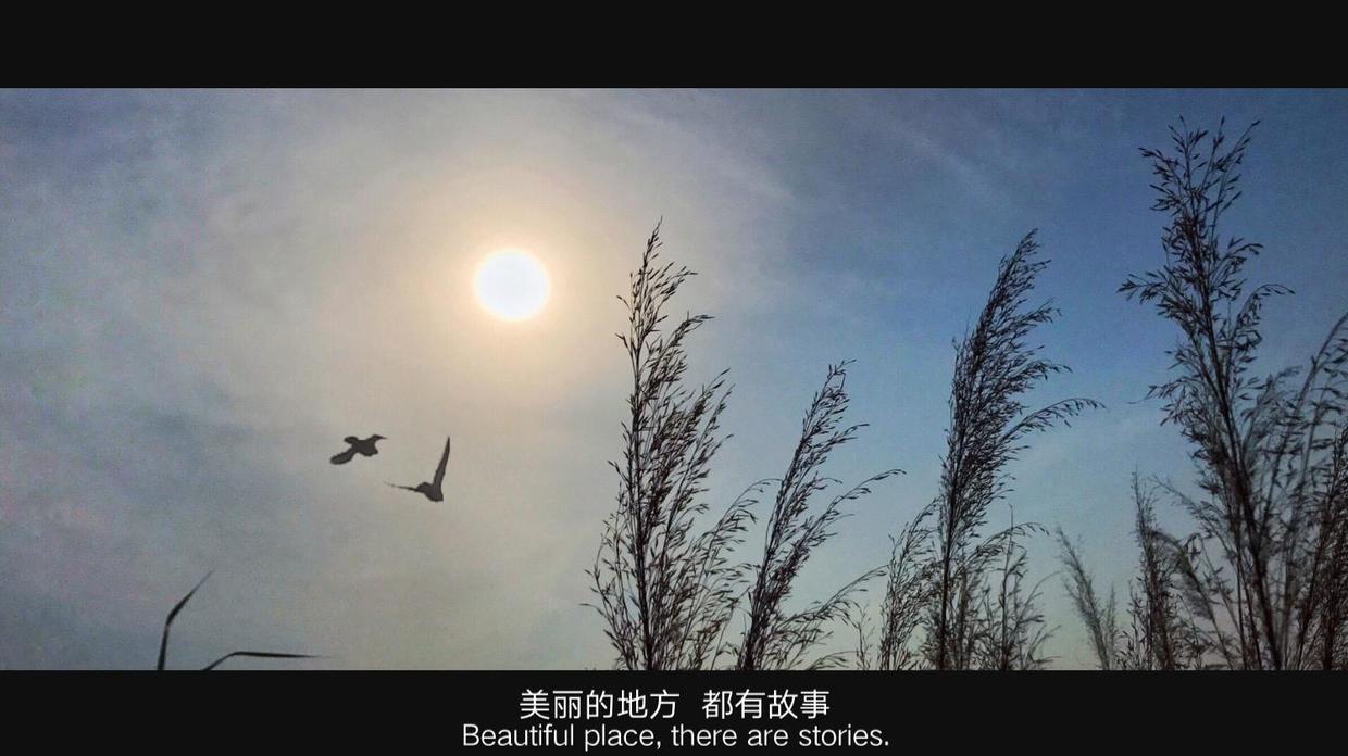 在照片上制作印章水印,照片怎么加像印章的文字