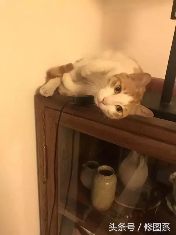 修图师会用哪些修图软件,修图师都用ps么