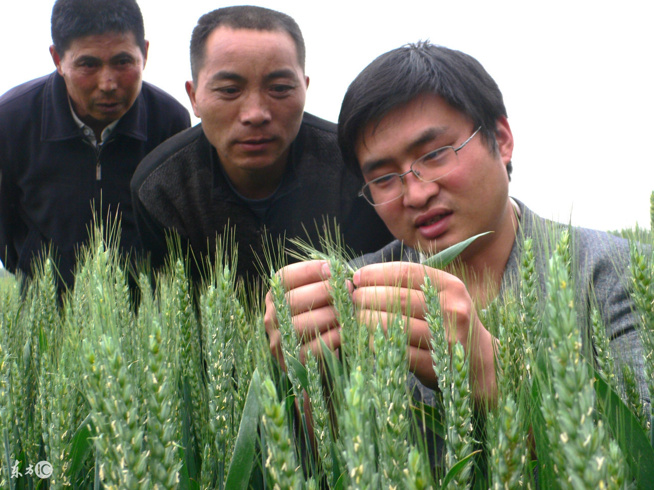 大学生村官服务期满有证书吗,大学生村官服务期满有编制吗