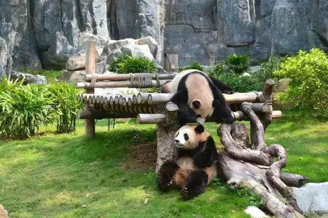 广东峡天下景区门票,广东阳山峡天下景区门票