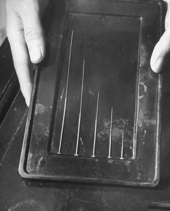 民国时期中药店，敢养这个动物，药店老板胆子太大了！