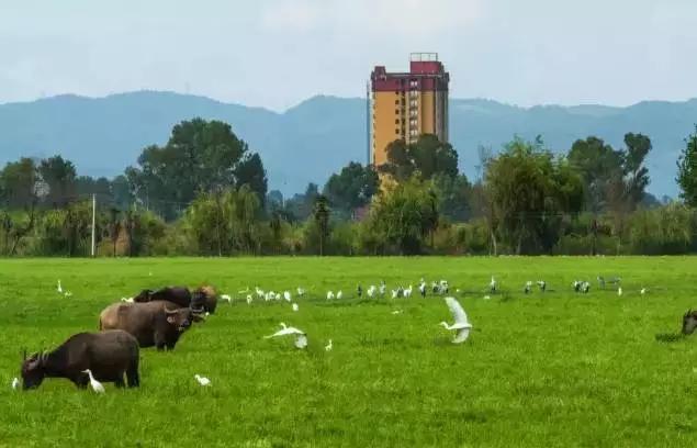 云南昆明悠闲的夏天避暑环境,昆明周边最好的避暑城市