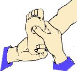 有关生理期与怀孕的知识，年轻的爸爸妈妈一定知道多少？