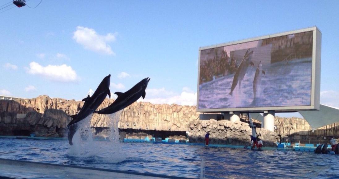 十月一出游去哪里好玩,国庆节8天长假哪里旅游好玩