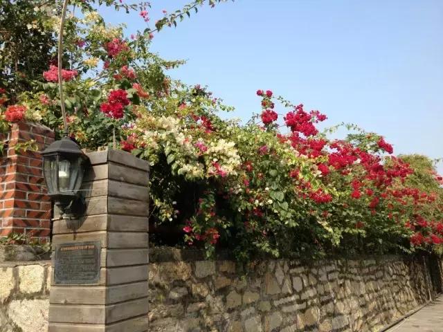 厦门放松养生,厦门放松的民宿