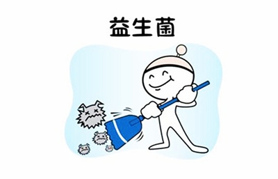 小小推荐益生菌,小小益生菌价格