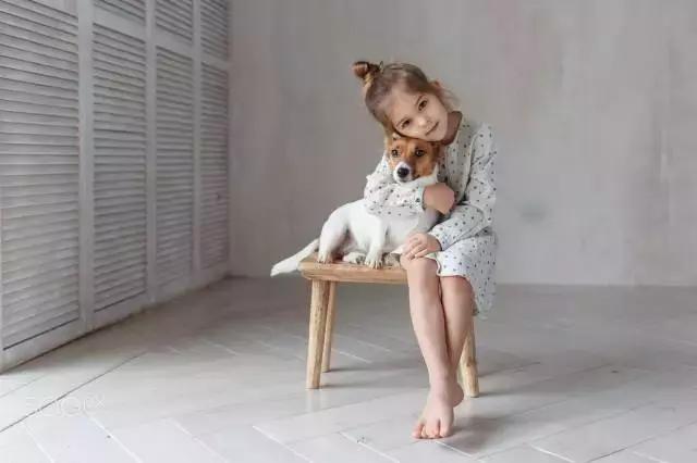 好想领养一只小型的狗,诚心诚意想领养一只宠物狗