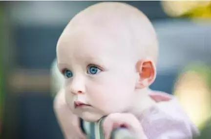 给宝宝补铁用什么药,小猪补铁补血的正确方法