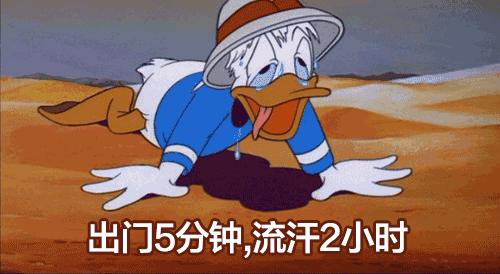 宕╂簝澶ч檰鐏倝,杩炲窞鐏倝