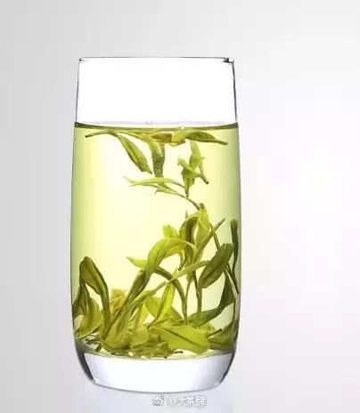 中国十大名茶的产地是哪里,中国十大名茶最新排名及价格