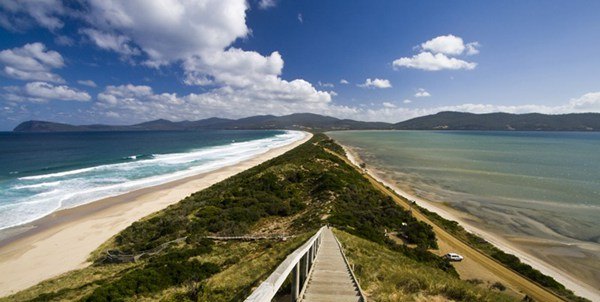 澳大利亚鲍鱼新西兰鲍鱼,澳大利亚顶级鲍鱼