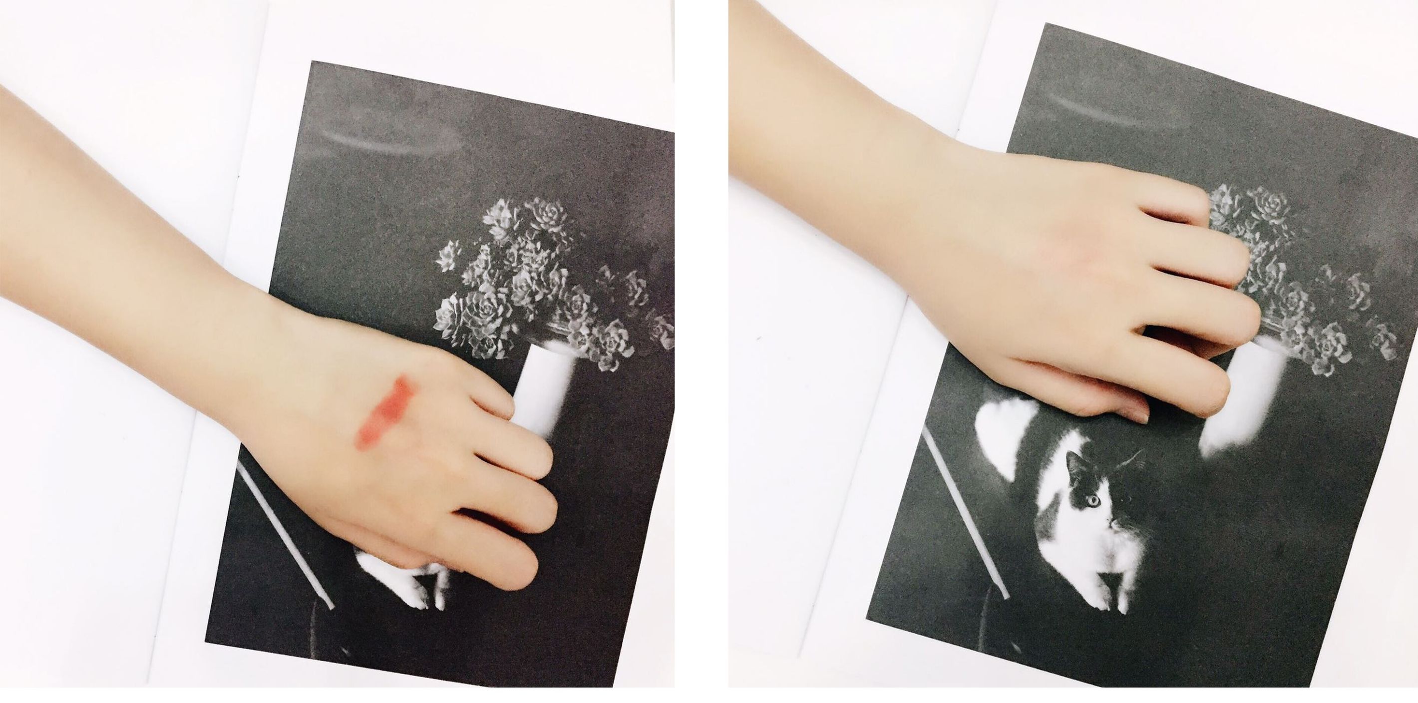 雪美清杨桃面膜,日本雪美清杨桃水测评