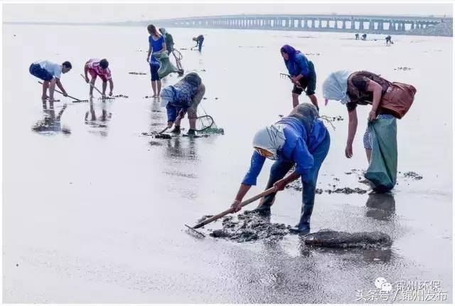 锦州市生态环境优化,你不能错过