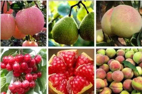 山东烟台值得去吗,烟台值得去吗真实感受