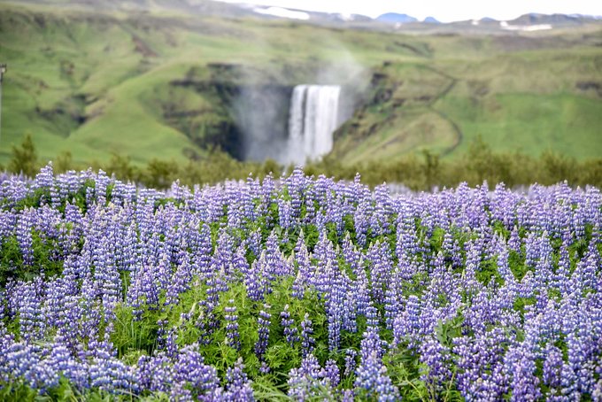 出门旅行应该带什么,带娃旅行你必须要知道的事
