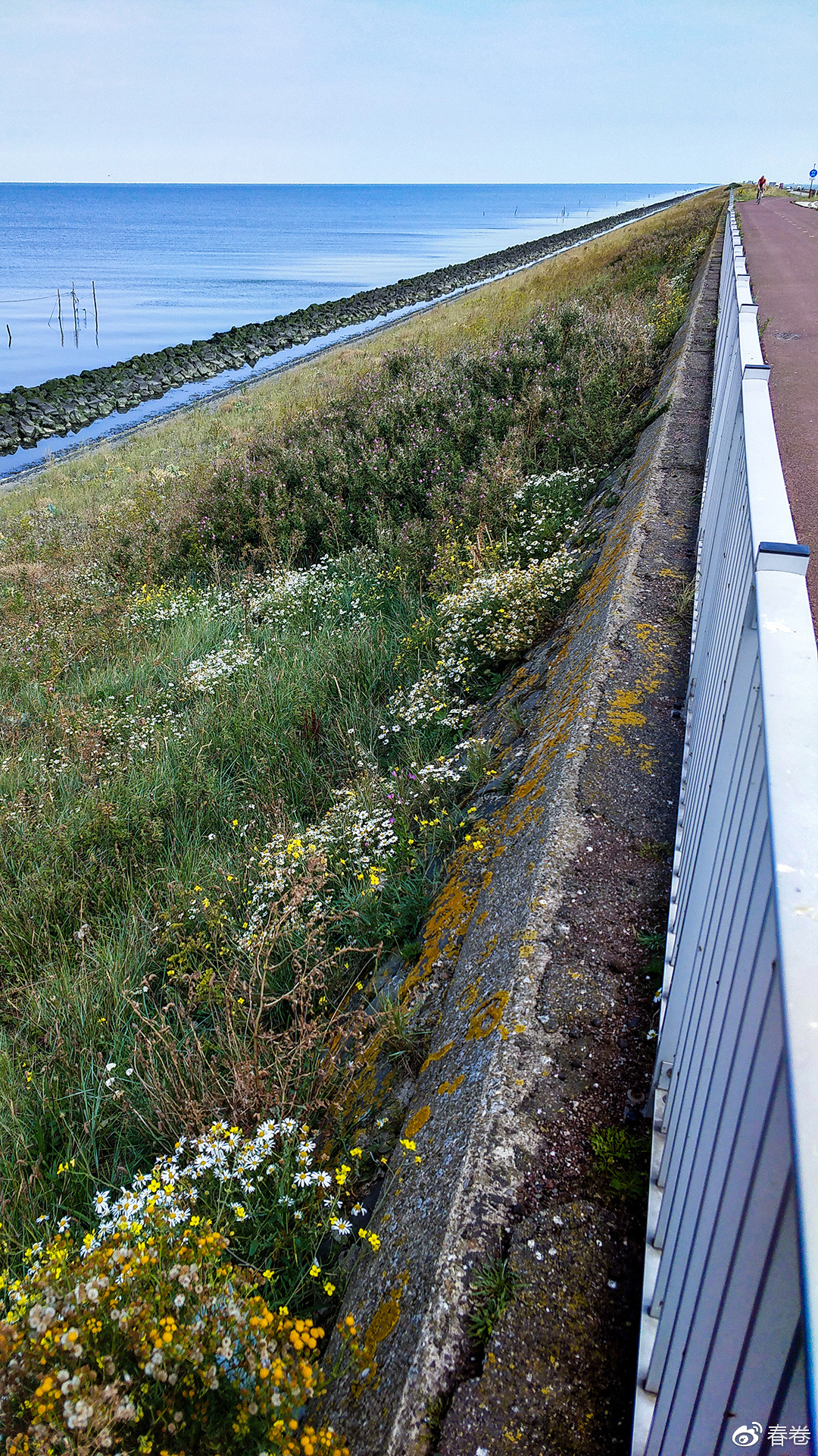 vivoxplay6拍照样张,vivoxplay6图片及参数