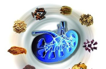 哪些药有毒性,有些药物有毒性吗