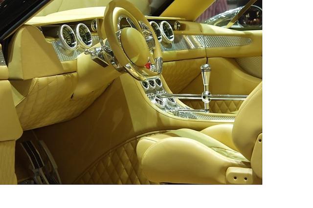 世界十大豪华霸气越野车,世爵D12车型