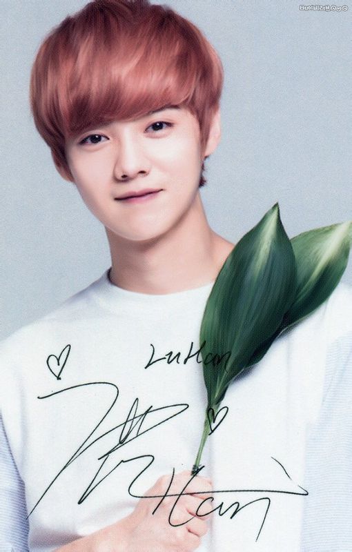 exo十二月的奇迹韩文版,exo十二位成员照片