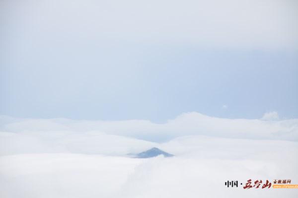 不经历风雨怎么见彩虹作文素材,不经历风雨怎么见彩虹英文