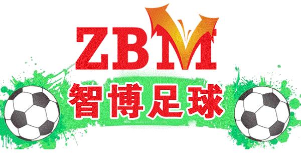 8月16日足球实单推荐,智博足球比赛