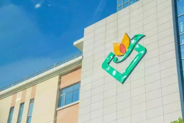 未来东海发展潜力,未来的东海岛怎样