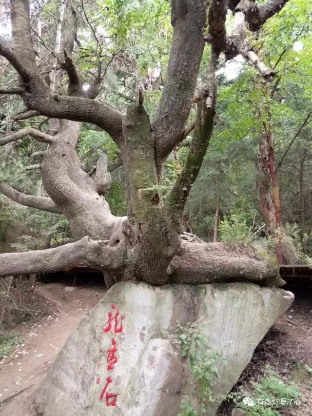 孟达天池一日游,孟达天池