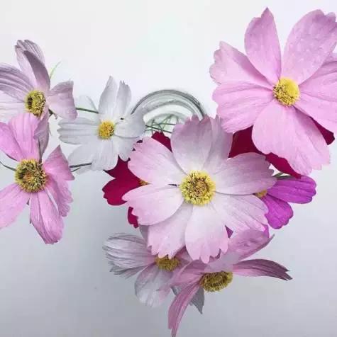 会枯萎腐烂的仿真花,会枯萎的花有什么