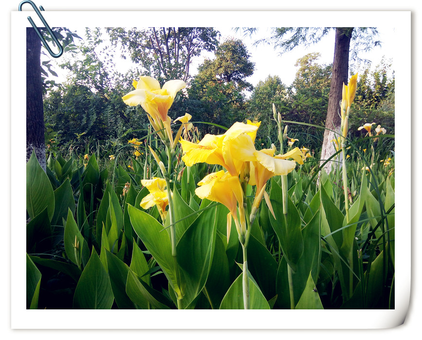 人际关系胸怀格局的经典语录,做人需要做到的人际关系