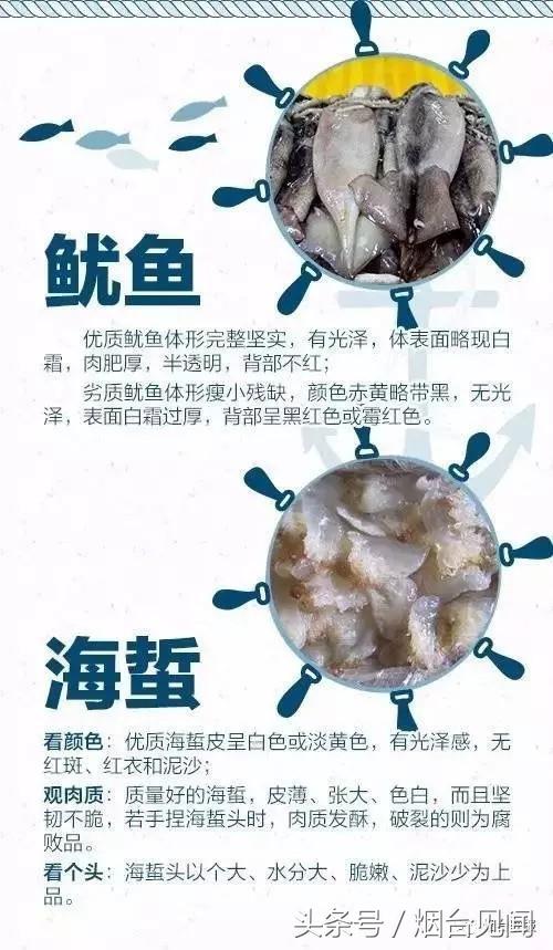 烟台哪里的海鲜便宜又新鲜,山东烟台一年四季的时令海鲜表