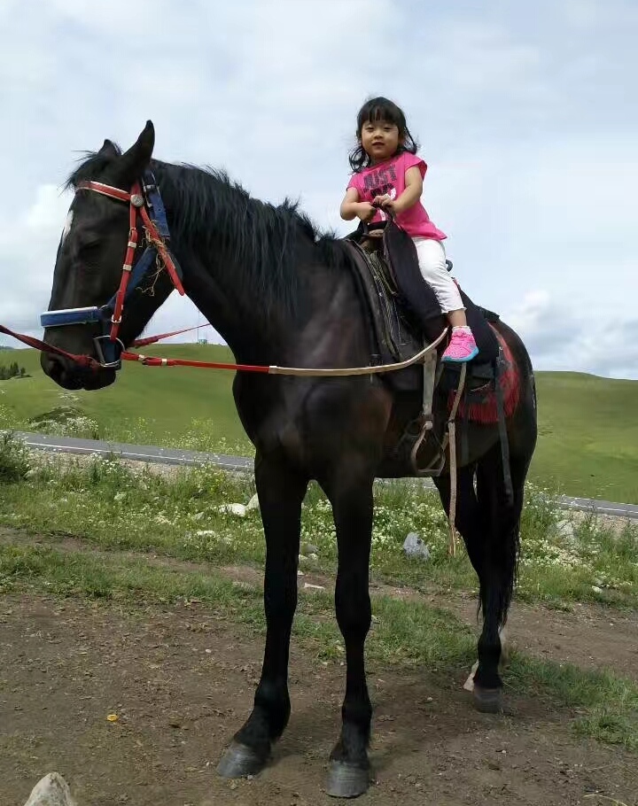 天津塘沽的回忆,天津塘沽名胜古迹