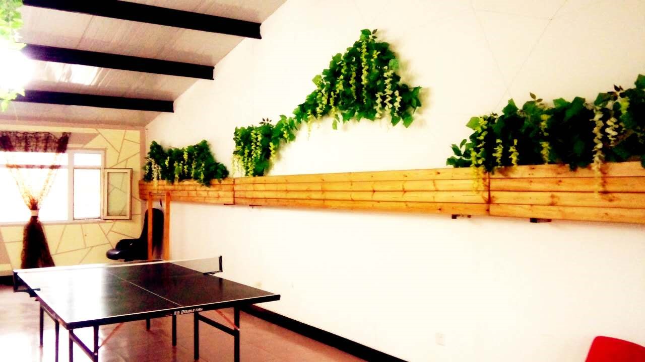 农村的一栋别墅怎么经营,乡村的房子怎么打造