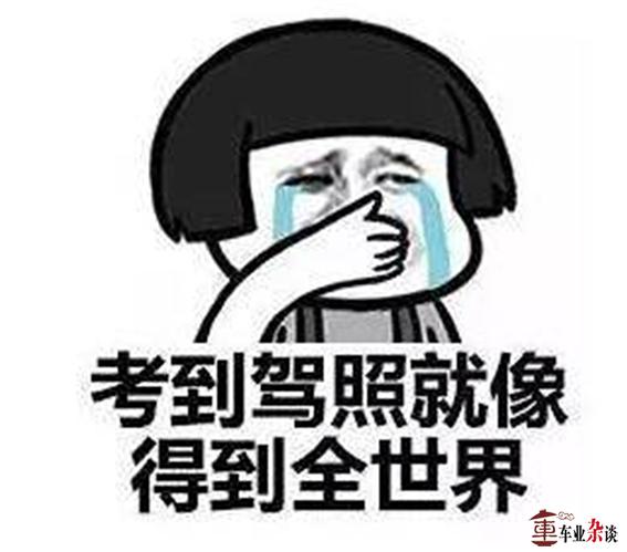 驾考新规将至,它是画蛇添足还是画龙点睛?