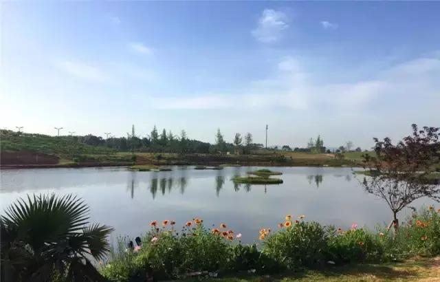 成都亲子农庄推荐,成都生态农庄推荐