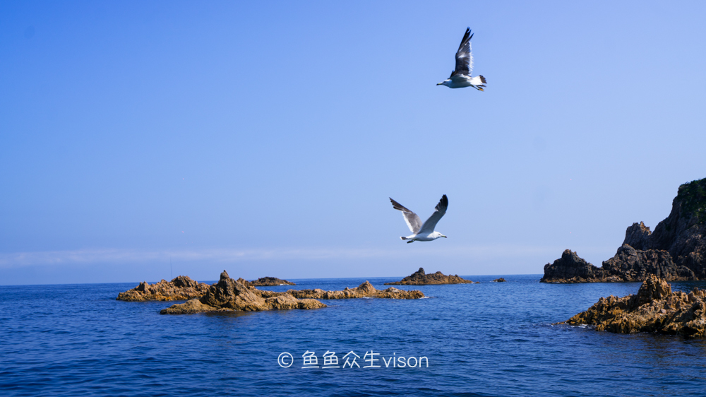 日本东京大阪最值得去的地方,日本大阪深度游攻略