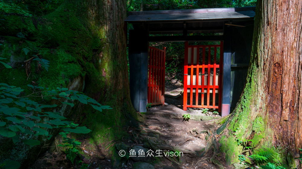 日本东京大阪最值得去的地方,日本大阪深度游攻略