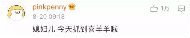 男朋友是内蒙古人,第一次送的礼物是一只羊网友笑喷:成都人只能送火锅底料了!