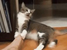 有了你这双脚，无毒避让，妖魔俯首，一息尚存，独步天下