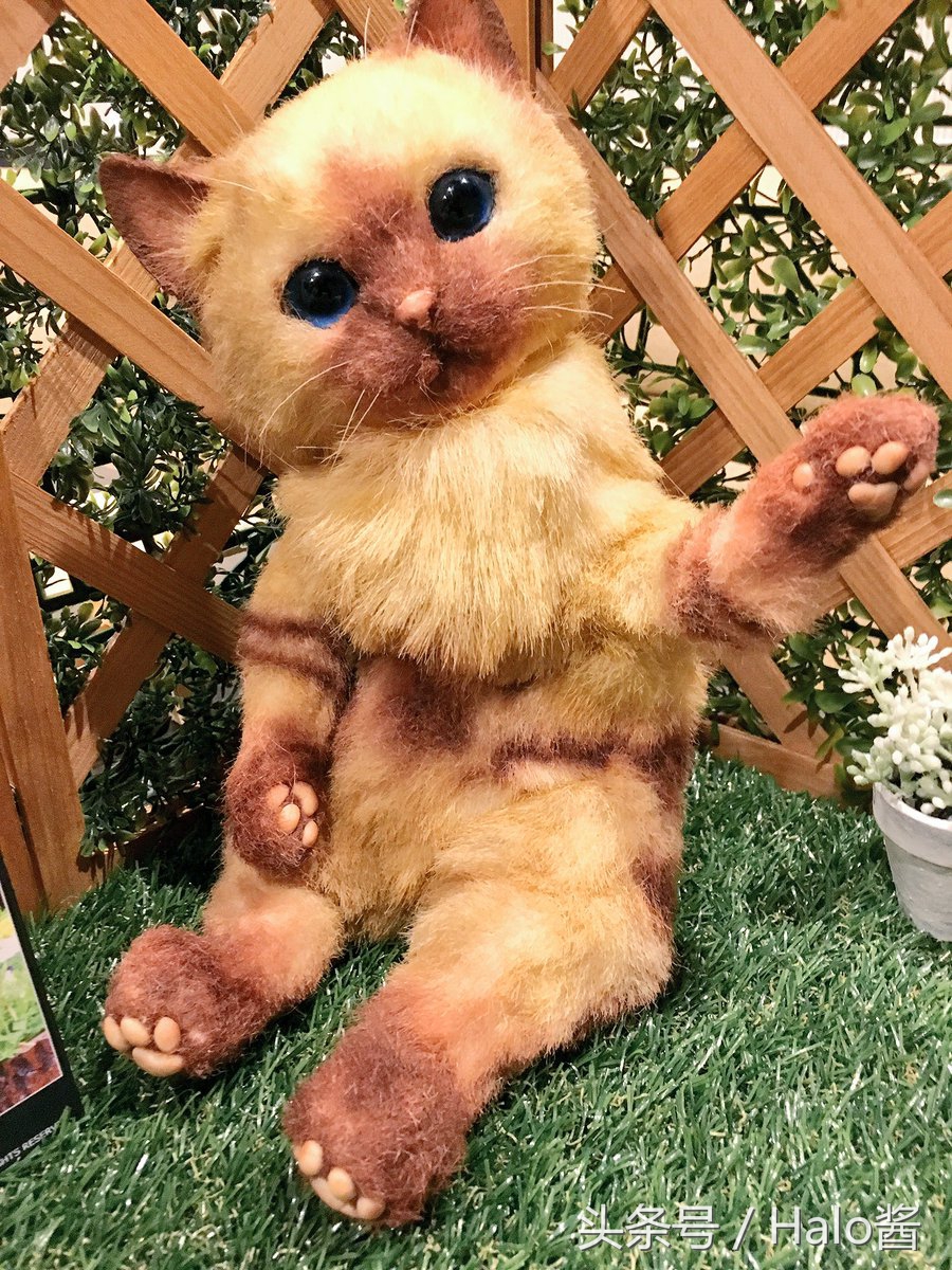 怪物猎人艾露猫孙悟空,怪物猎人艾露猫