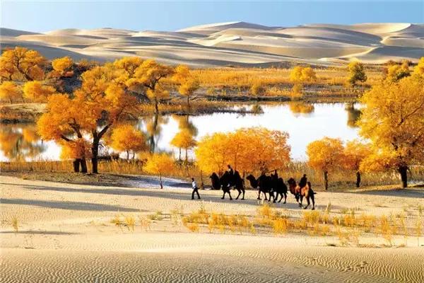 三千年的情缘,三千年的企盼只为这一季的金秋(附攻略)