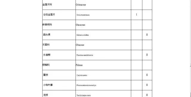 北方室外过冬的盆景对节白蜡盆景,小叶女贞和对节白蜡哪个适合盆景