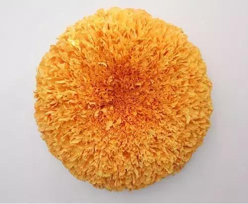 会枯萎腐烂的仿真花,会枯萎的花有什么