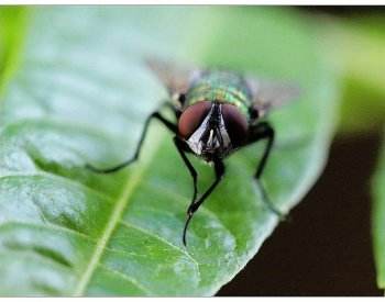 十个科普小知识,100个必学的科普知识