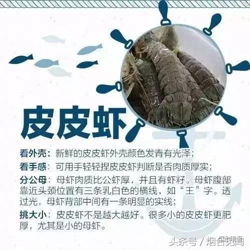 烟台哪里的海鲜便宜又新鲜,山东烟台一年四季的时令海鲜表