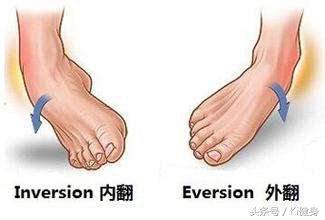 小腿肌肉磁共振解剖,小腿血管解剖图解