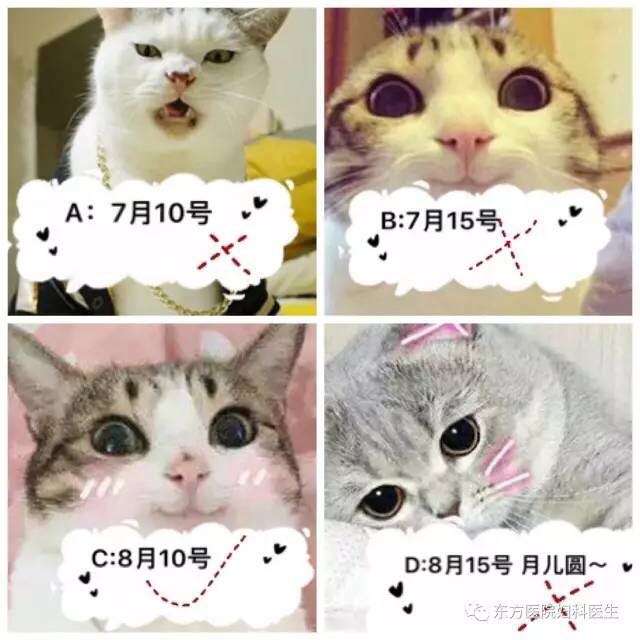 妇科看病最佳时间,去医院看妇科要摆好什么姿势