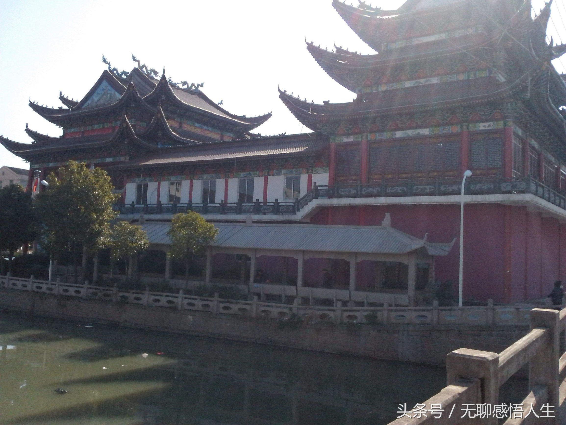 龙港市百强,龙港苍南百强县