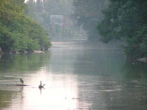 大禹治水古文作者,大禹治水出自